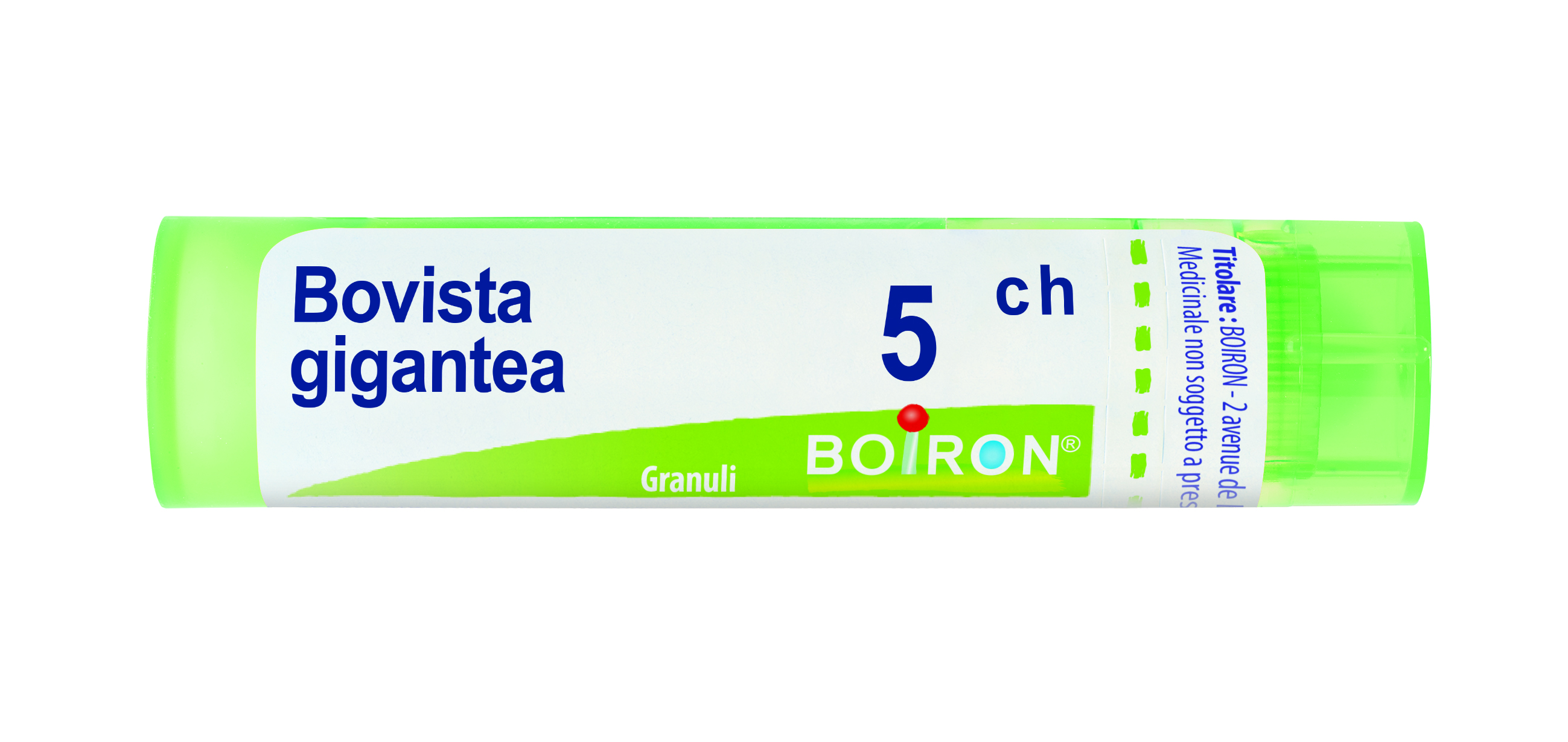 BOVISTA GIGANTEA*5CH 80GR 4G - Luckyfarma.it