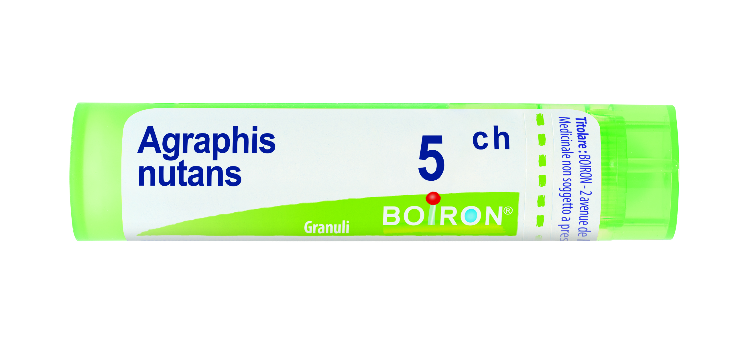 AGRAPHIS NUTANS*5CH 80GR 4G - Luckyfarma.it