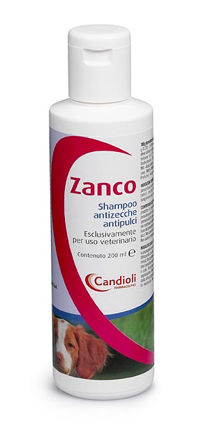 ZANCO*SH FL PE 200ML - Luckyfarma.it