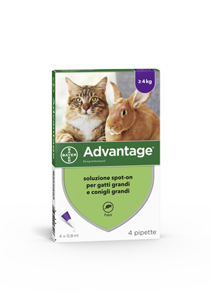 ADVANTAGE*4PIP 0,8ML SPOTON - Luckyfarma.it