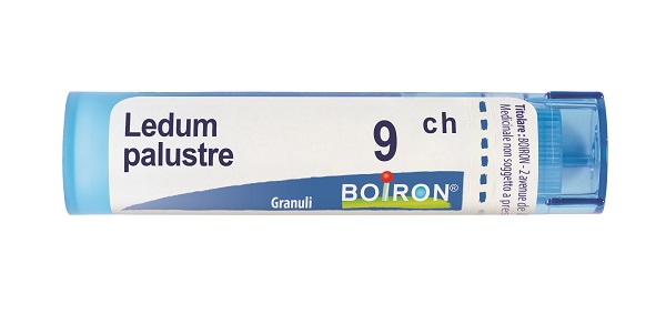 LEDUM PALUSTRE 9 CH GRANULI 4G - Luckyfarma.it