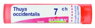 THUYA OCCIDENT 7CH GLOBULI - Luckyfarma.it