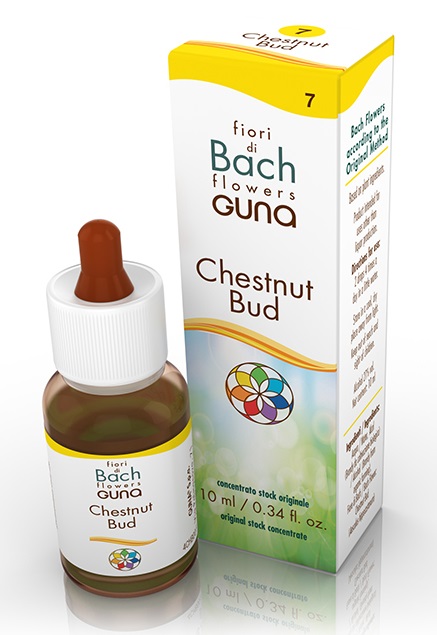 CHESTNUT BUD GOCCE 10 ML - Luckyfarma.it