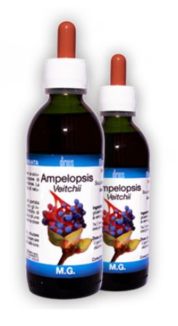 AMPELOPSIS VEITCHII MACERATO GLICERICO 50 ML - Luckyfarma.it
