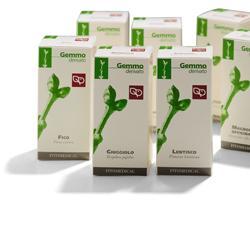GINKGO BILOBA 50 ML MACERATO GLICERICO - Luckyfarma.it