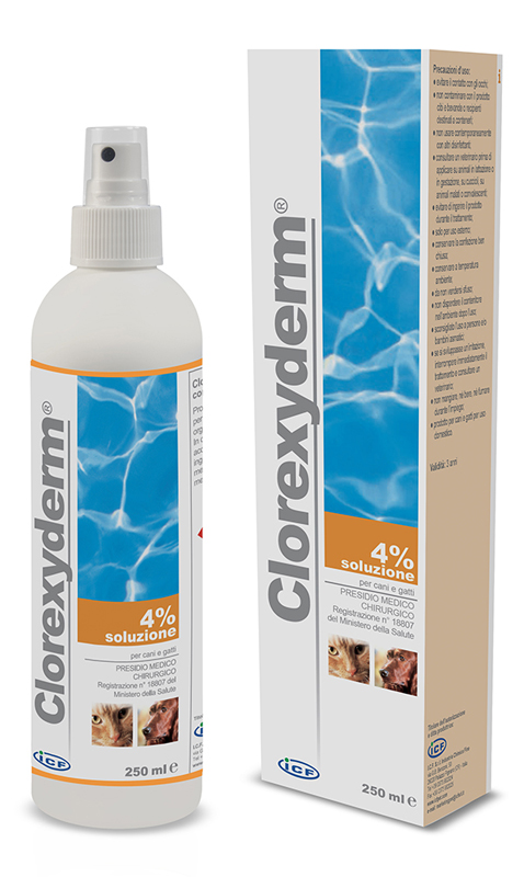 CLOREXYDERM SOLUZIONE 4% 250 ML - Luckyfarma.it