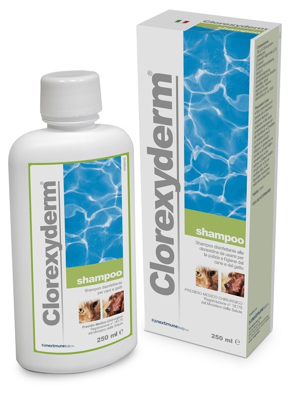 CLOREXYDERM SHAMPOO 250 ML - Luckyfarma.it