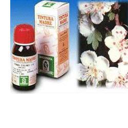 BIANCOSPINO 10 50ML TM - Luckyfarma.it