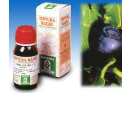 MIRTILLO 31 50ML TM - Luckyfarma.it