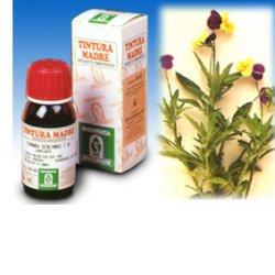 VIOLA DEL PENSIERO 32 50ML TM - Luckyfarma.it