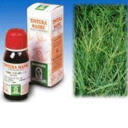 GRAMIGNA 37 50ML TM - Luckyfarma.it