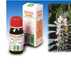CARDIACA 16 50ML TM - Luckyfarma.it