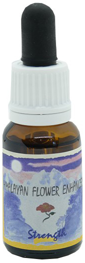 STRENGTH ESSENZA 15 ML 1 PEZZO - Luckyfarma.it
