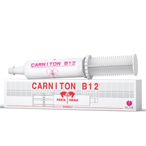 CARNITON B 12 PASTA 1 SIRINGA 100 G - Luckyfarma.it
