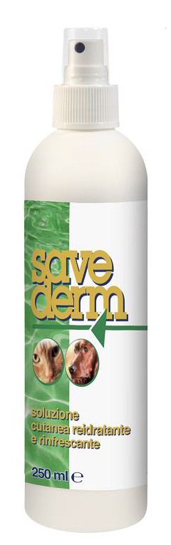 SAVEDERM SOLUZIONE 250 ML - Luckyfarma.it