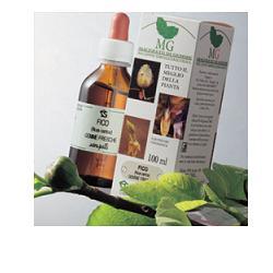 MIRTILLO RO 100ML MG - Luckyfarma.it