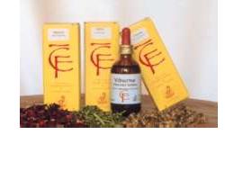 RIBES GEMME 100ML MG - Luckyfarma.it
