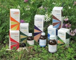 RAEMIL DIG1 CALAMO AROM COMPOSTO 50 - Luckyfarma.it