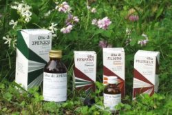 RAEMIL PRIMULA OLIO 25 ML - Luckyfarma.it