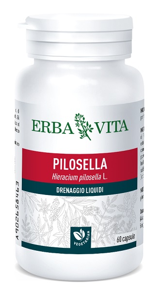 PILOSELLA 60 CAPSULE 400 MG - Luckyfarma.it