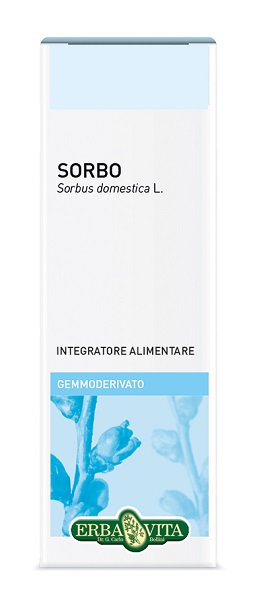 GEMMODERIVATO SORBO 50 ML - Luckyfarma.it