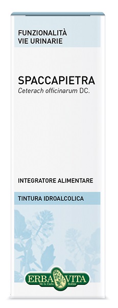 SPACCAPIETRA TINTURA IDROALCOLICA 50 ML EBV - Luckyfarma.it