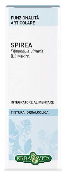 SPIREA ULMARIA TINTURA IDROALCOLICA 50 ML EBV - Luckyfarma.it