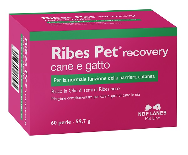 RIBES PET RECOVERY BLISTER 60 PERLE - Luckyfarma.it