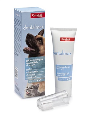 DENTALMAX GEL STOMATOLOGICO 50 ML - Luckyfarma.it