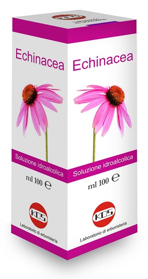 ECHINACEA SOLUZIONE IDROALCOLICA PIANTA FRESCA 100 ML - Luckyfarma.it