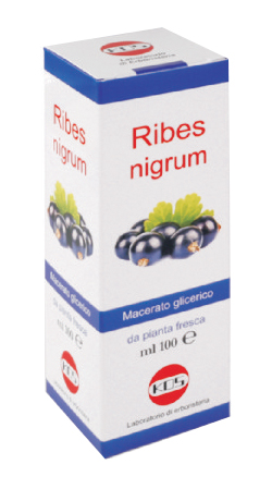 RIBES NIGRUM MG 100 ML GOCCE - Luckyfarma.it