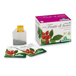 INFUSO BIO FRUTTA FRUTTI DI BOSCO 20 FILTRI - Luckyfarma.it