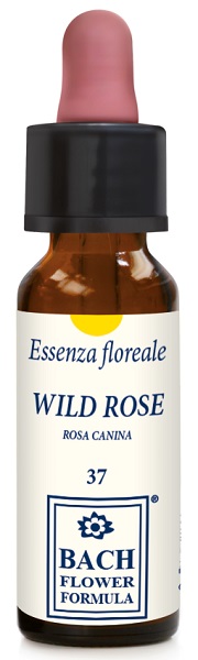 WILD ROSE ORIGINAL 10ML GTT - Luckyfarma.it
