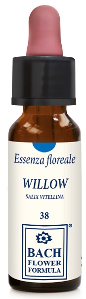WILLOW ORIGINAL 10ML GTT - Luckyfarma.it