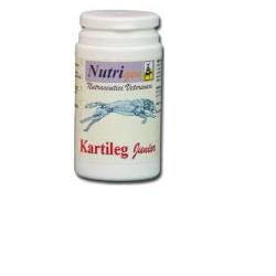KARTILEG J 60TAV - Luckyfarma.it