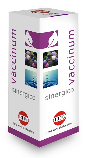 VACCINIUM SINERGICO GOCCE 100 ML - Luckyfarma.it