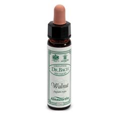 AINSWORTHS WALNUT 10ML - Luckyfarma.it