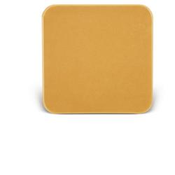 BARRIERA CUTANEA INTERAMENTE IN STOMAHESIVE PER LA PROTEZIONE DELL'AREA PERISTOMALE PLACCA STOMAHESIVE 10X10CM 5 PEZZI - Luckyfarma.it