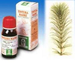 EQUISETO 12 50ML TM - Luckyfarma.it