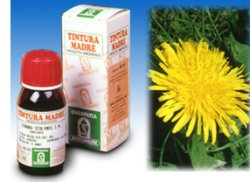 TARASSACO 28 50ML TM - Luckyfarma.it
