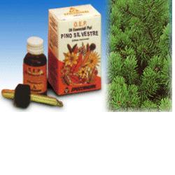 PINO SILVESTRE OLIO ESSENZIALE PURO 10 ML - Luckyfarma.it