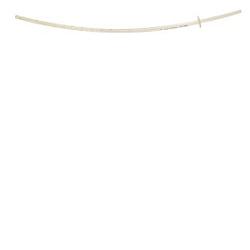 SONDA PER URETEROCUTANEOSTOMIA IN POLIURETANO WIRUTHAN TRASPARENTE LINEA RADIOPACA CON ALETTE LUNGHEZZA 25 CM DIAMETRO 4,2 MM PUNTA CON FORO CENTRALE - Luckyfarma.it