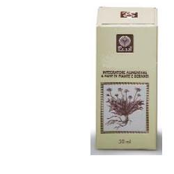 GINKGO BILOBA ESTRATTO ANALCOLICO 50 ML - Luckyfarma.it