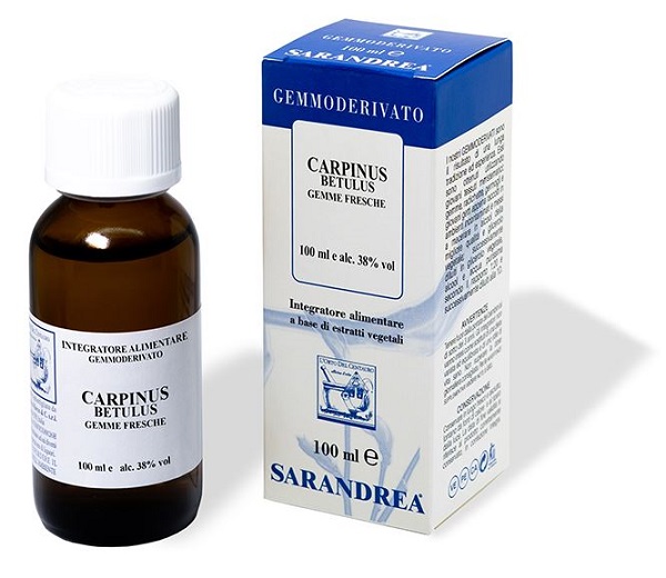 CARPINUS BETULUS 100 ML MACERATO GLICERICO - Luckyfarma.it