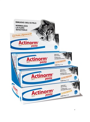 ACTINORM PASTA GATTI 65G - Luckyfarma.it