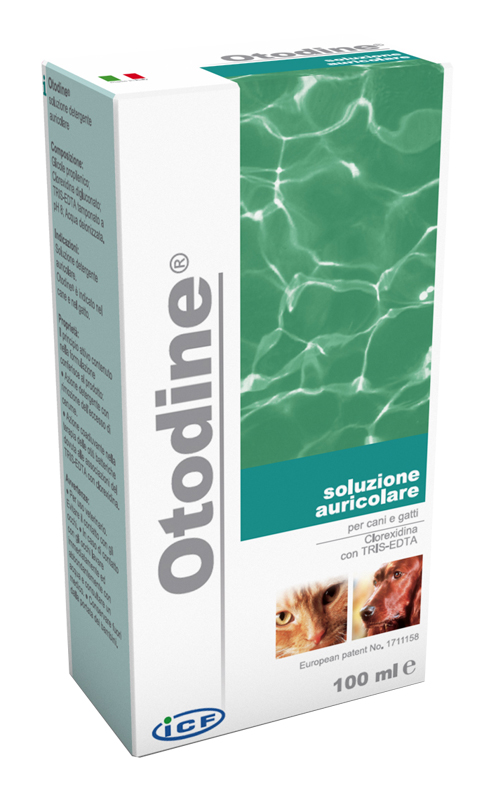 OTODINE DET LIQ 50ML - Luckyfarma.it