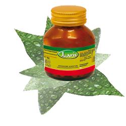 OLIO DI ENOTHERA BORRAGINE 50 PERLE - Luckyfarma.it