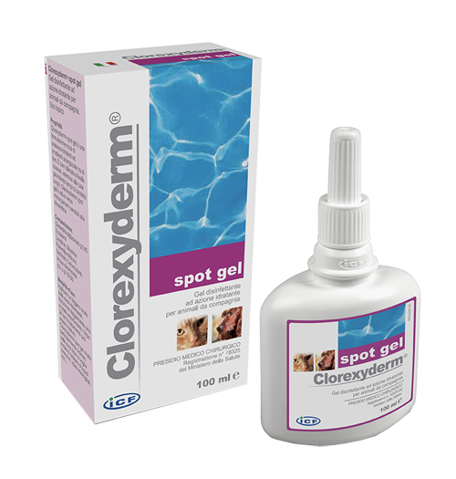 CLOREXYDERM SPOT GEL 100ML - Luckyfarma.it