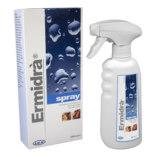 ERMIDRA' SPRAY 300 ML - Luckyfarma.it