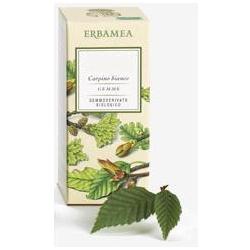 RIBES NIGRUM GEMME GEMMODERIVATO - Luckyfarma.it